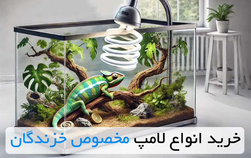 خرید و قیمت انواع لامپ مخصوص خزندگان