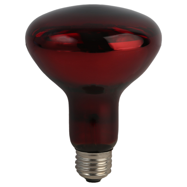 لامپ مادون قرمز (InfraRed) ۲۵۰ وات مصباح مدل R125-IR-250W-E27-RED پایه معمولی (E27)